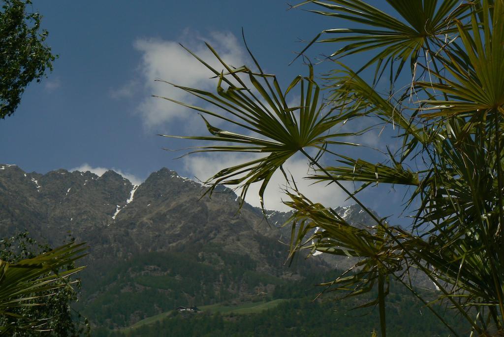 Alpina Residence Naturns Kültér fotó